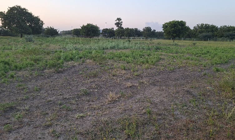 WARE HOUSE LAND